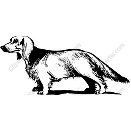 Elegant Hand-Drawn Dog