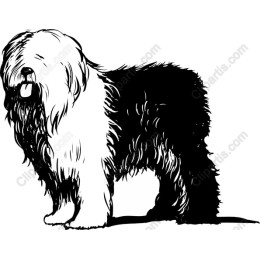 Old English Sheepdog