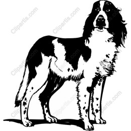 Premium Dog