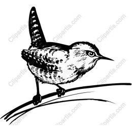Charming Bird
