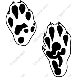 Animal Paw Print