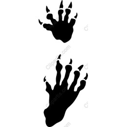 Detailed Animal Paw Print