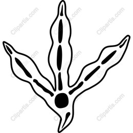 Bird Footprint