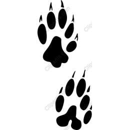 Animal Paw Prints