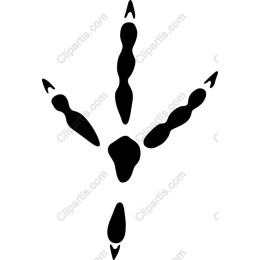 Abstract Bird Footprint