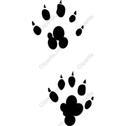 Cute Animal Paw Print
