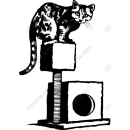 Playful Cat Tower