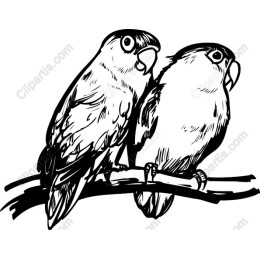 Bird Lovers' Duo - Charming Perched Birds