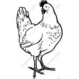 Whimsical Chicken