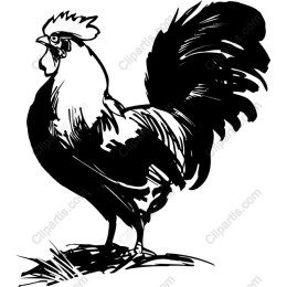 Rooster - Rustic Farm