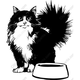 Fluffy Cat with Bowl