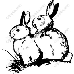 Charming Rabbit