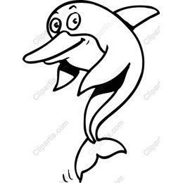 Charming Dolphin