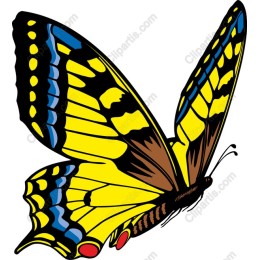 Vibrant Yellow Butterfly