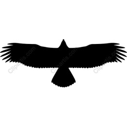 Majestic Bird