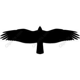 Majestic Bird