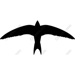 Soaring Bird