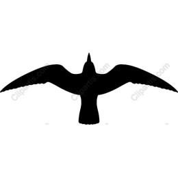 Majestic Bird