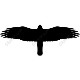 Black Hawk