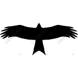 Majestic Bird