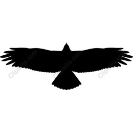 Soaring Bird