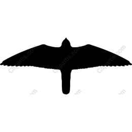 Majestic Bird