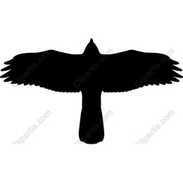 Majestic Bird