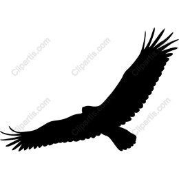 Majestic Eagle in Flight