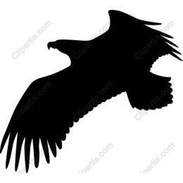 Soaring Eagle