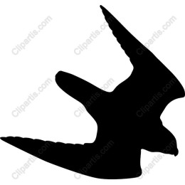 Elegant Bird