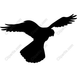 Bird in Flight