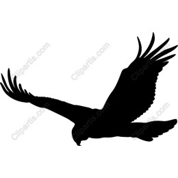 Soaring Hawk