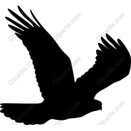 Soaring Eagle