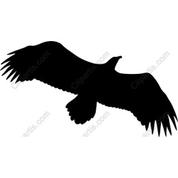 Majestic Eagle