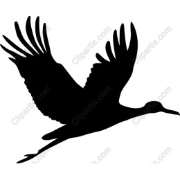 Majestic Crane in Flight