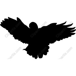 Majestic Bird in Flight