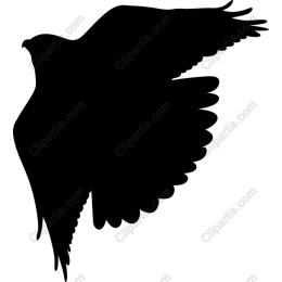 Hawk