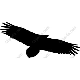 Majestic Eagle