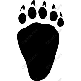 Bear Paw Print