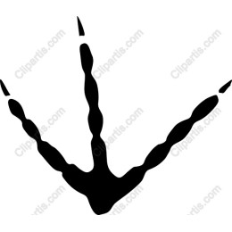 Bird Footprint