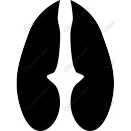 Stylized Lungs
