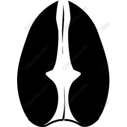 Abstract Nose