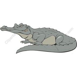 Playful Crocodile