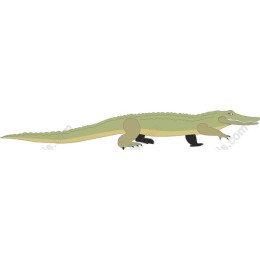 Playful Crocodile