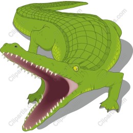 Cartoon Crocodile