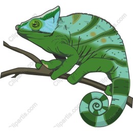 Chameleon on Branch