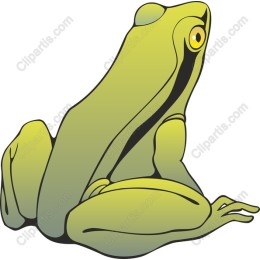 Vibrant Green Frog