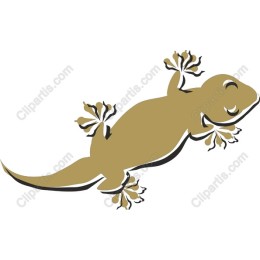 Charming Gecko