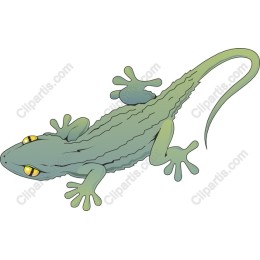 Whimsical Lizard