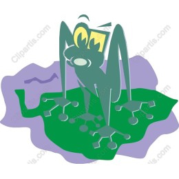 Quirky Frog